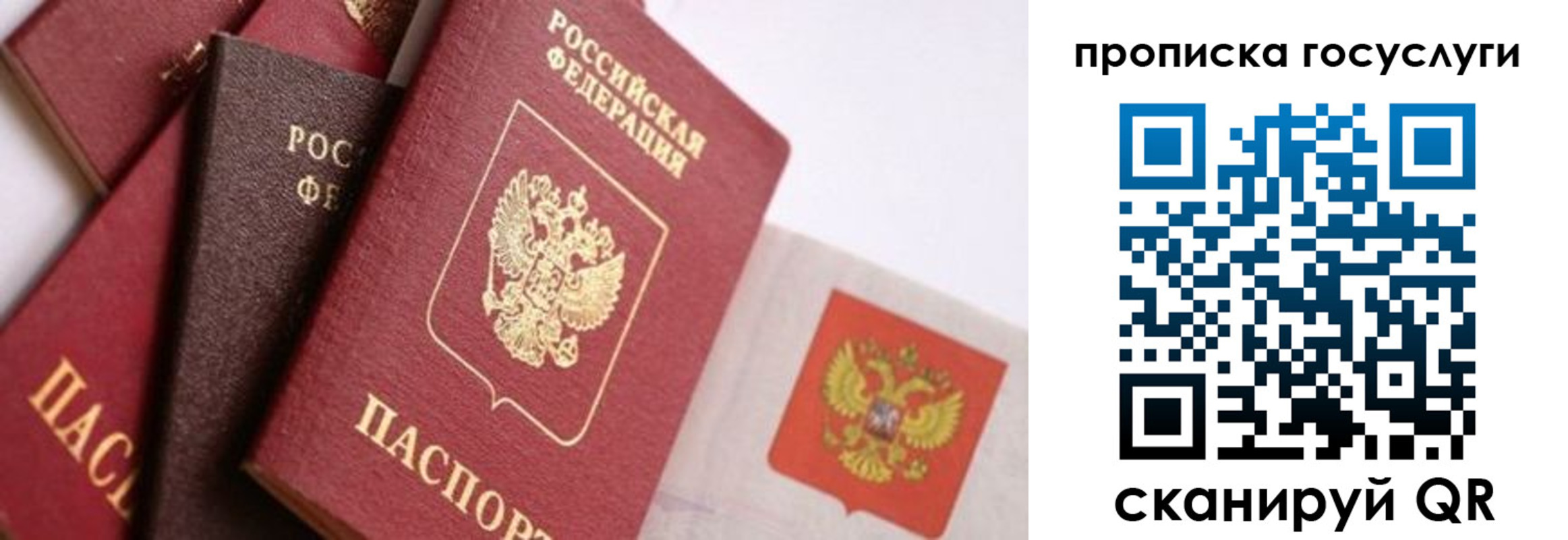 прописка законно в Гатчине